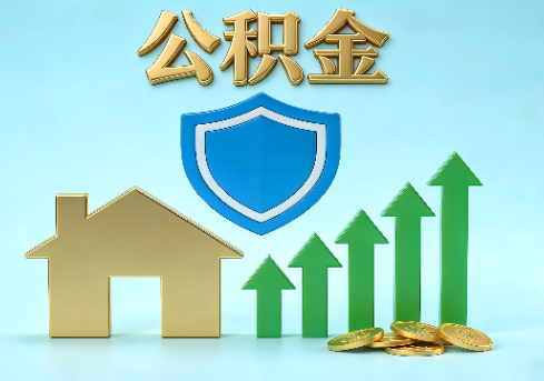 漯河当前住房公积金提取条件分类指南与政策趋势